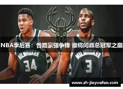 NBA季后赛：各路豪强争锋 谁将问鼎总冠军之巅